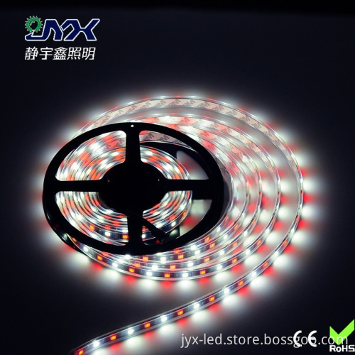 RGBW/RGBWW LED Strip Light Waterproof DC12V SMD 5050 5M/roll IP65 60Leds/M 300 LEDS Flexible Light LS01